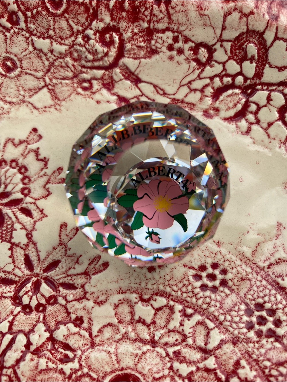 🌸Wild Rose Alberta Canada🌸Crystal Ball Souvenir